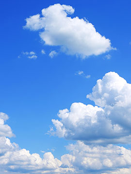 Obit text test